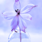 One in a Million - Bath and Body Works (type) - Premium Fragrance Oil